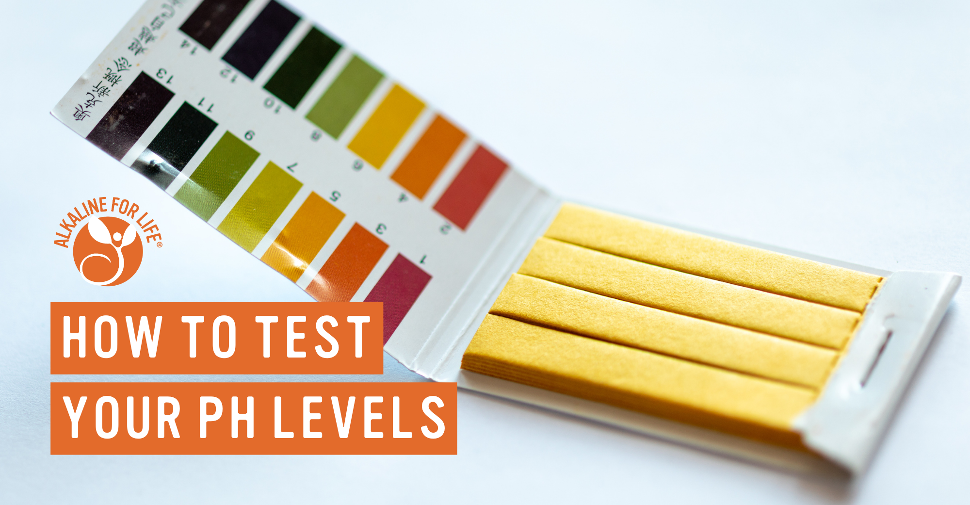 How to Test Your pH Levels – Alkaline for Life