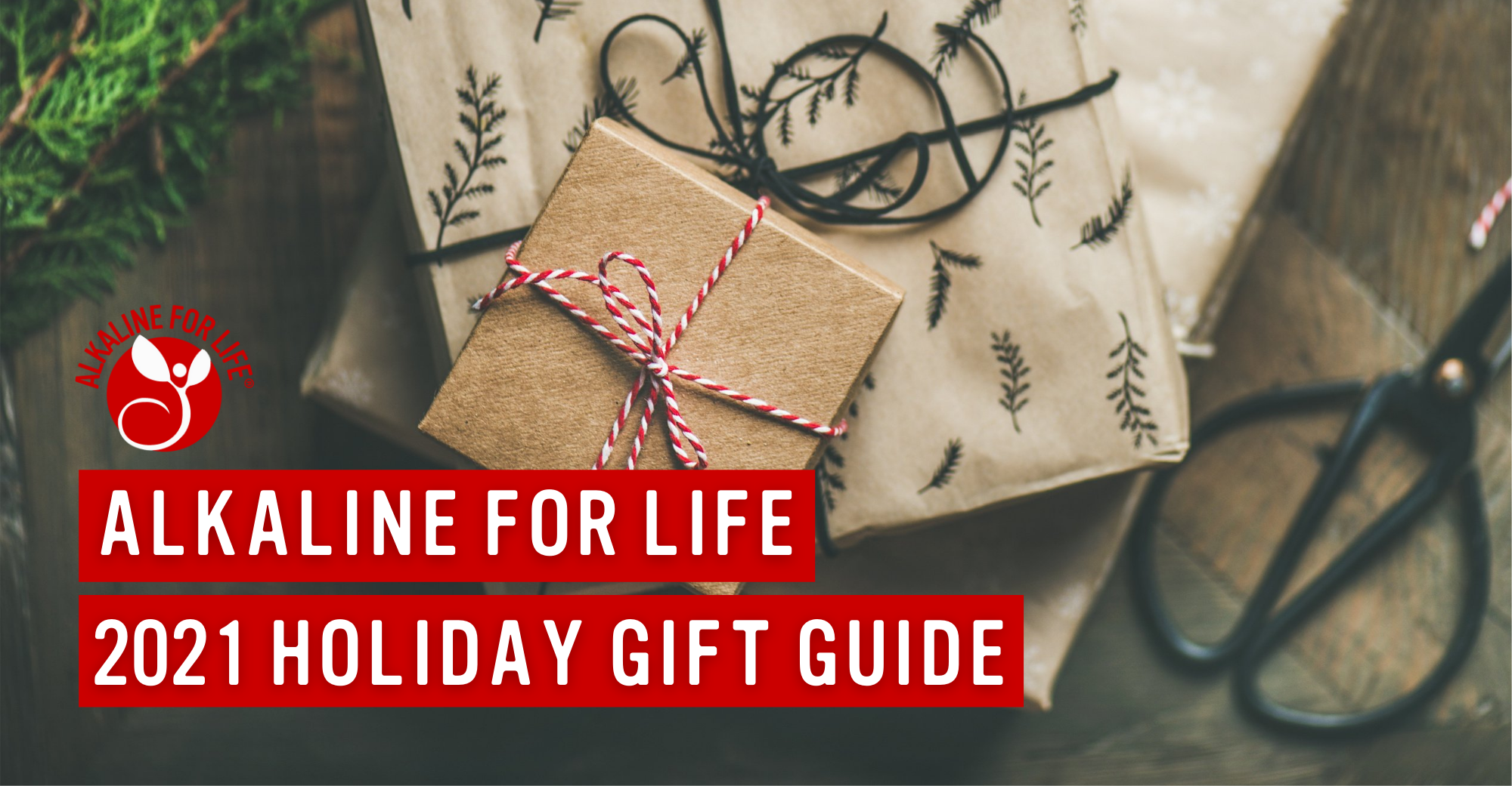 Healthy Holiday Gift Guide