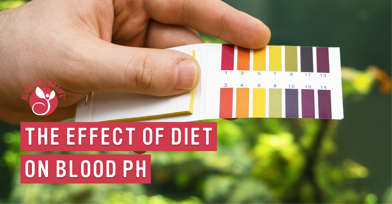 Diet and blood ph