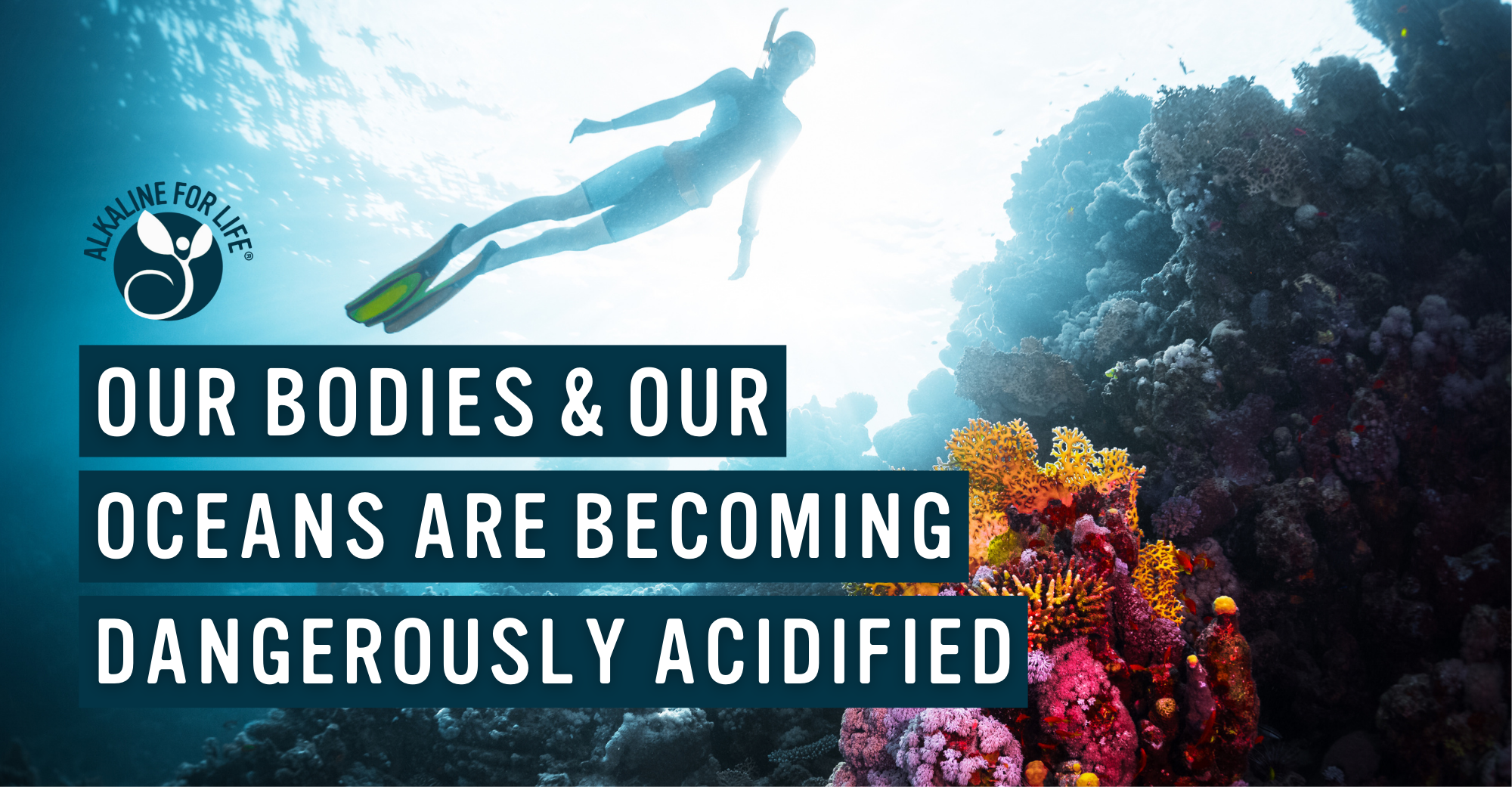 Our bodies and oceans are becoming acidified