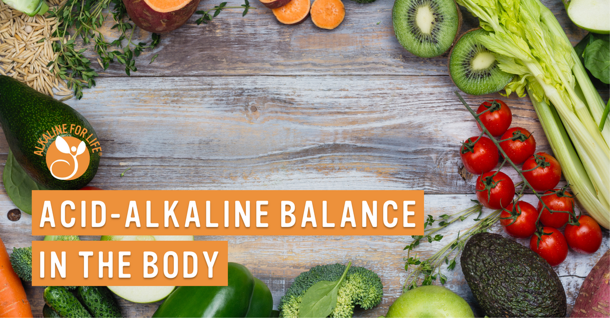 Kidneys, Lungs, & Skin: Their Role in Your Alkaline Balance – Alkaline ...