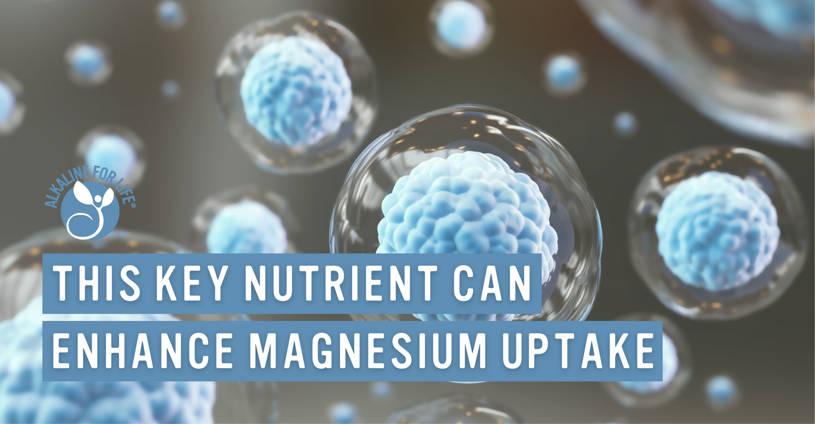Magnesium intake choline citrate