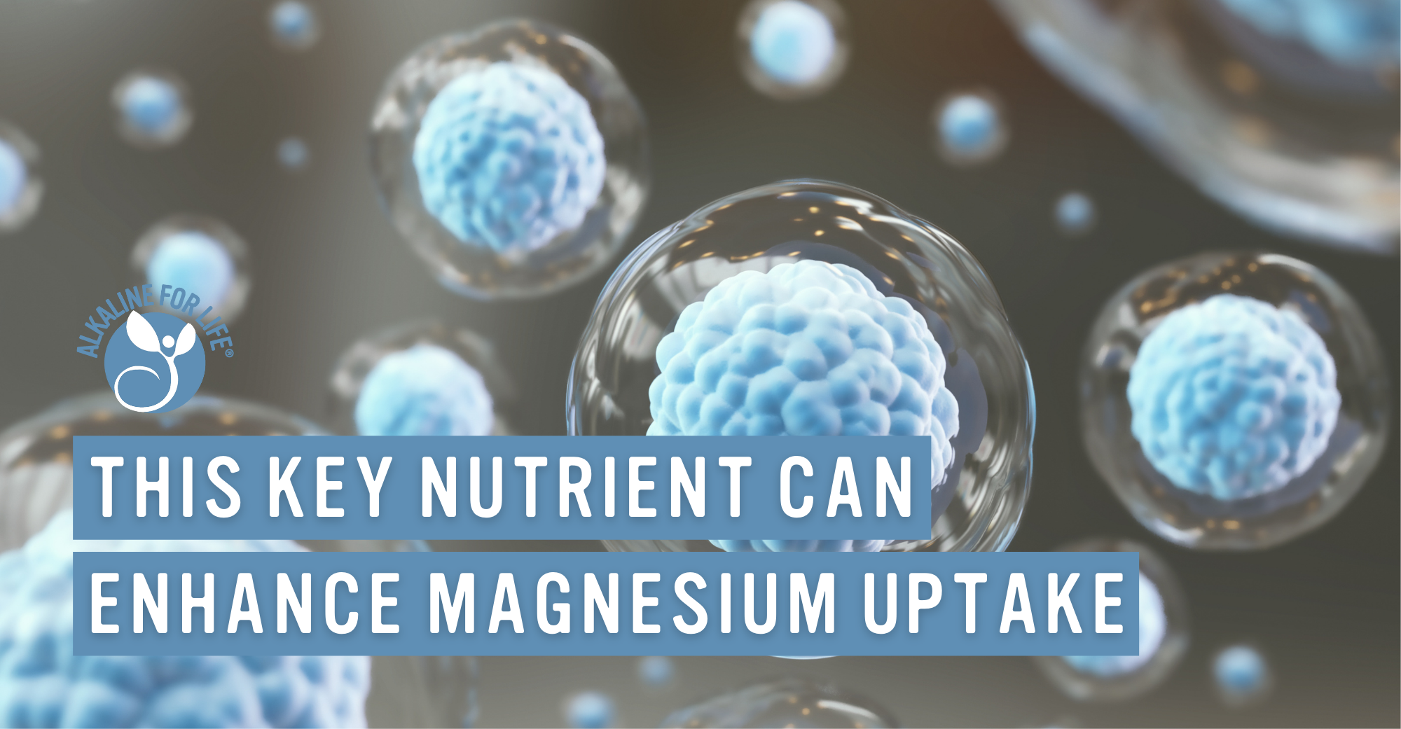 Magnesium intake choline citrate