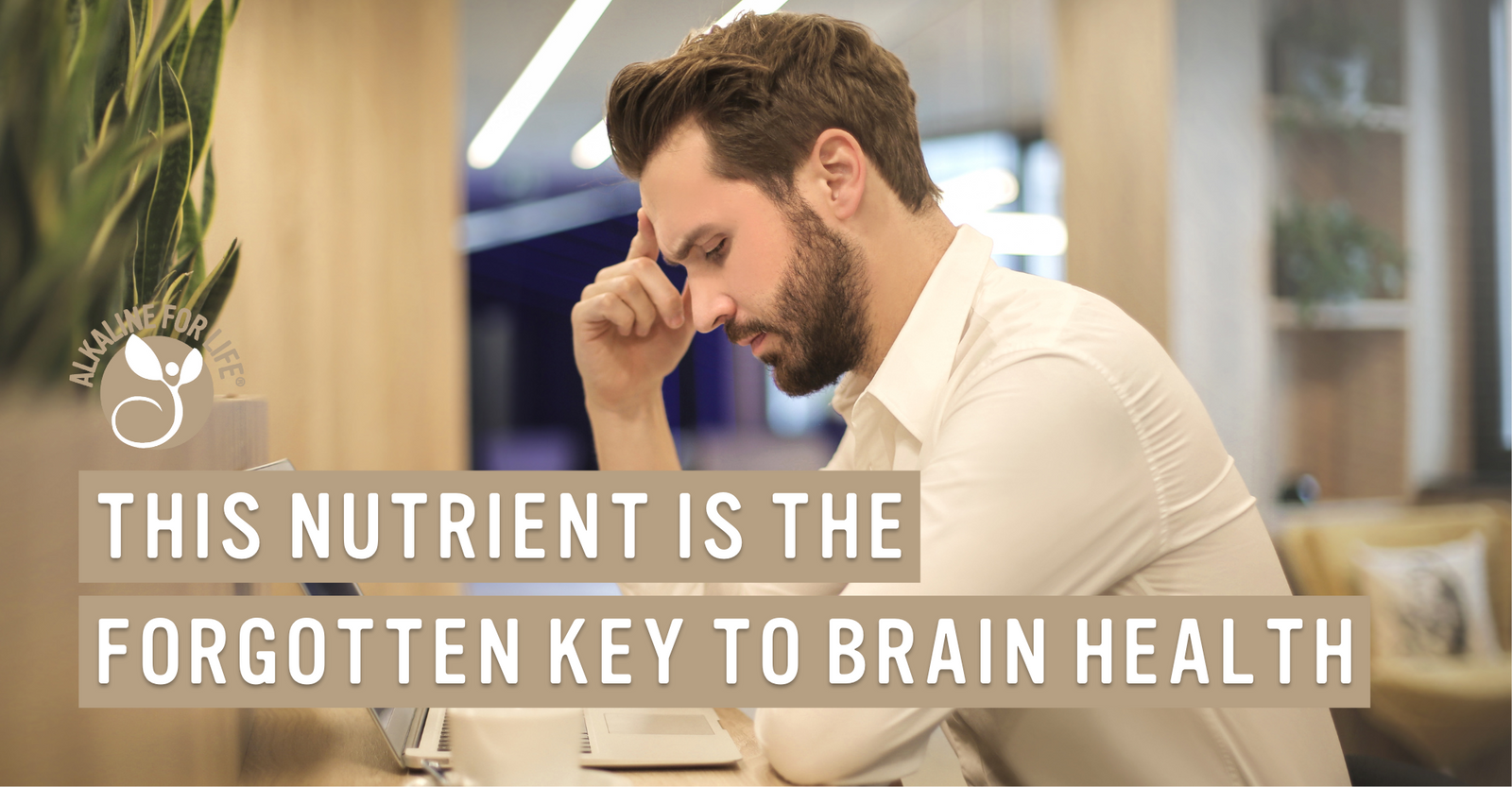 Choline brain health
