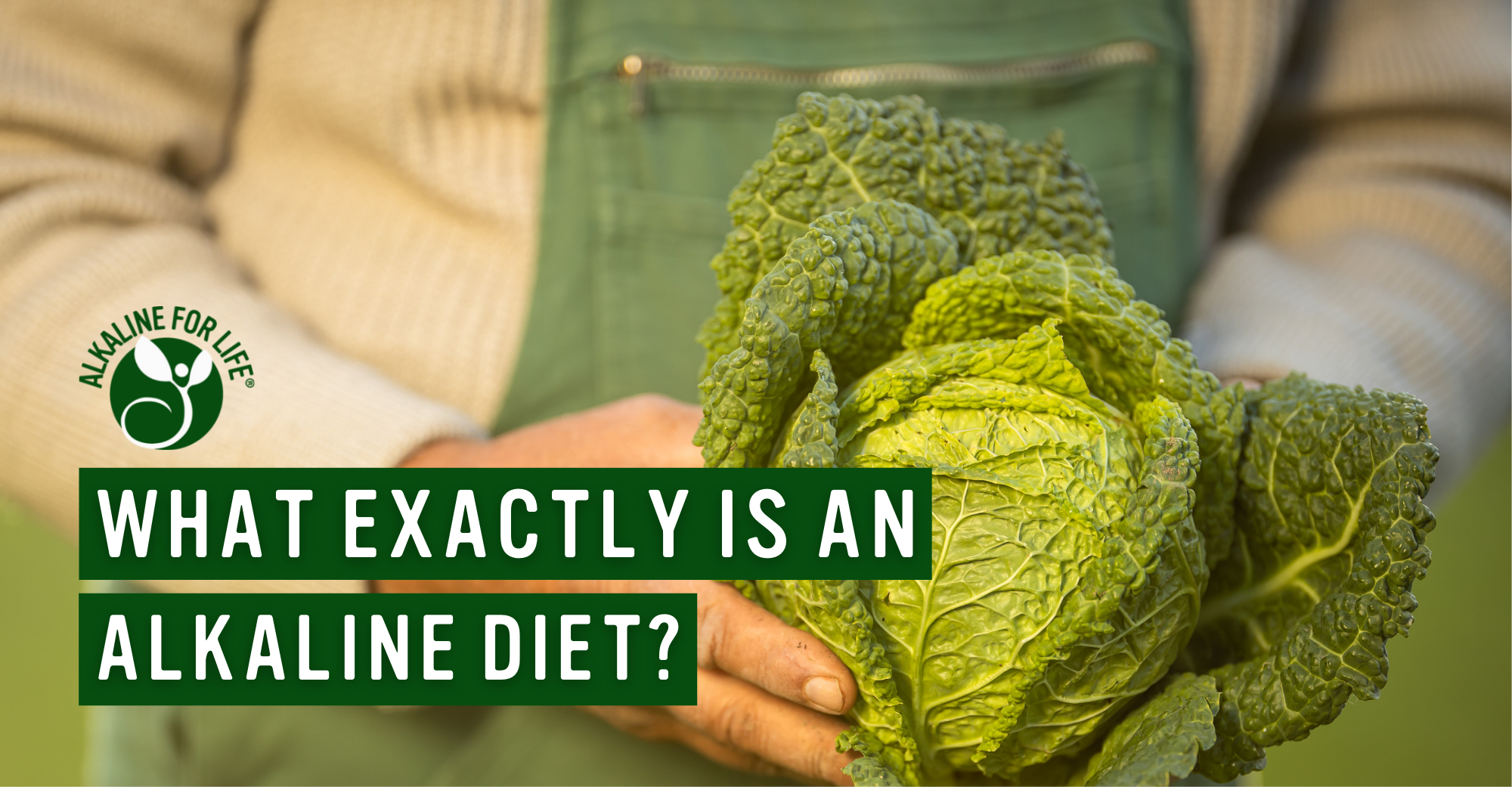Alkaline for Life Blog: What Exactly Is An Alkaline Diet?