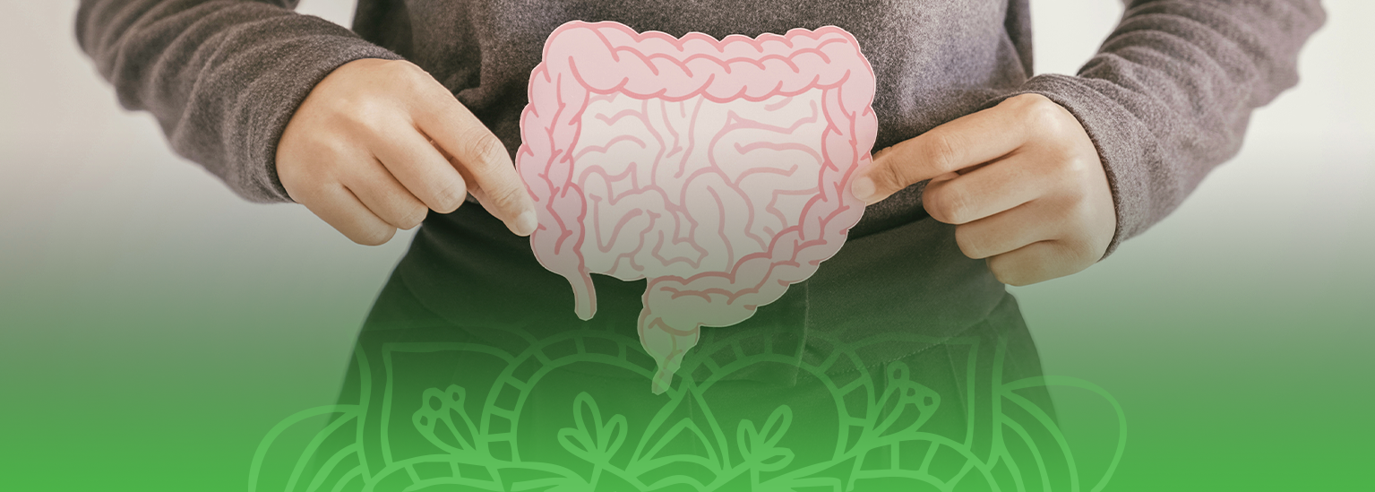 Alkaline for Life - Gut and Digestive Health Product Collection