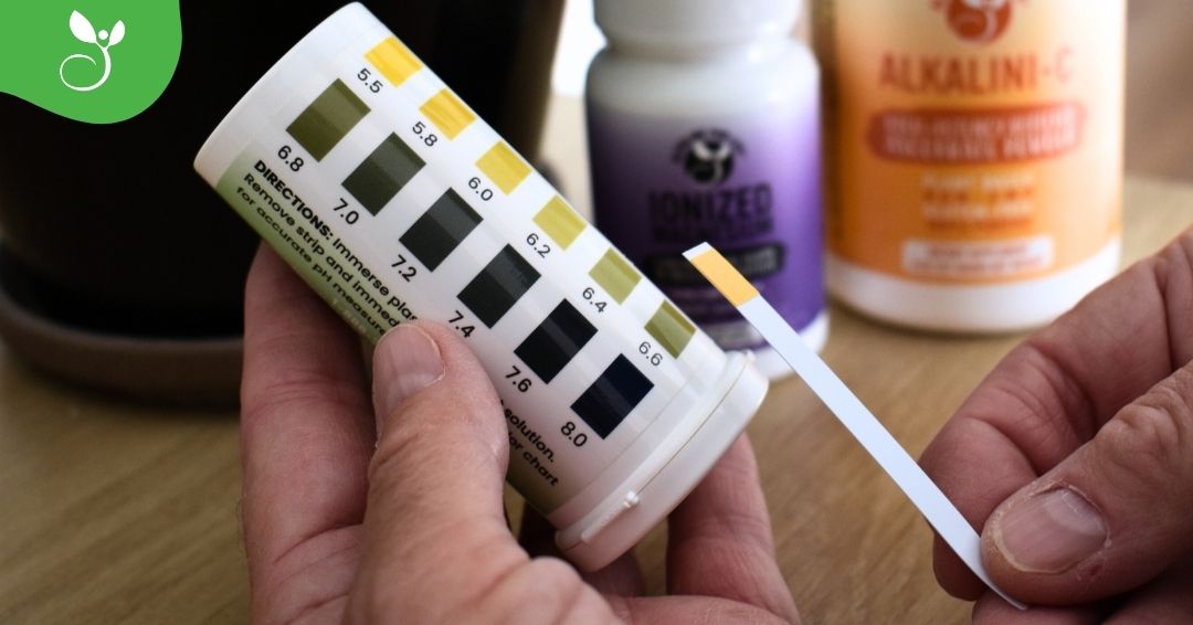 Alkaline for Life pH Balance Starter Kit